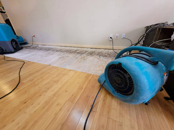 Professional Water Damage Repair technician working in Linwood, PA